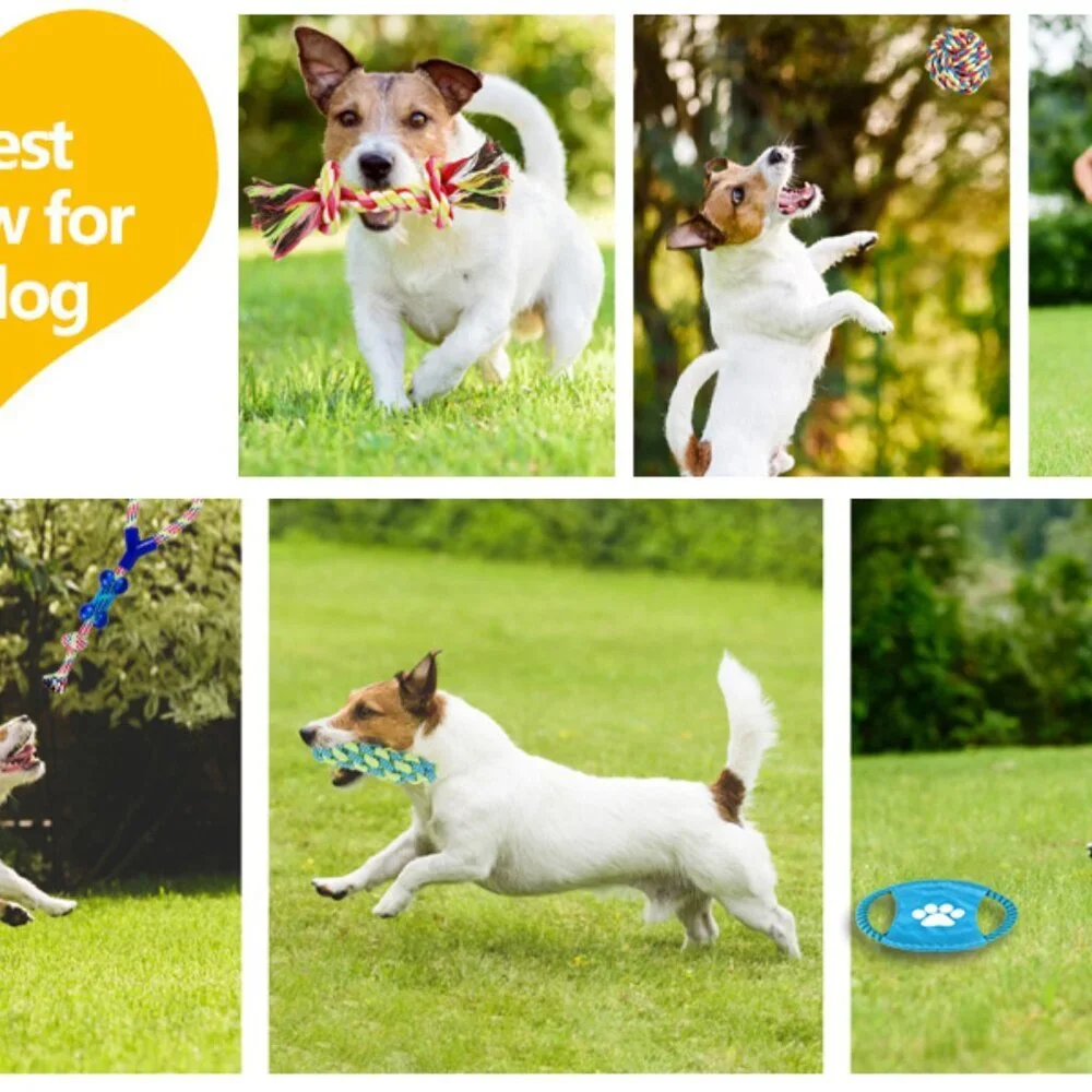 8-Pack Dog Rope Toy Set – Interactive Chew Toys for Puppies - Picture 14 of 14